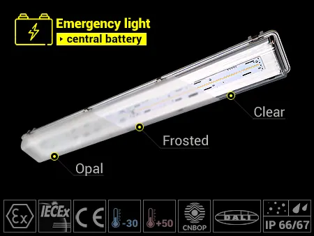 ATEX emergency lighting zone 22 and 21 and 2 for central battery